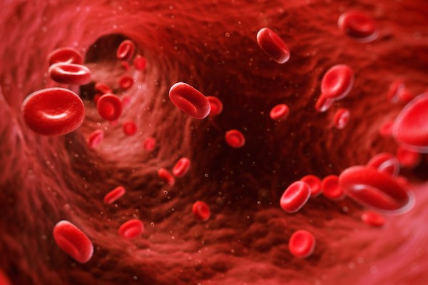 Η Συνάντηση των Ανθρώπων της Θαλασσαιμίας M Η Συνάντηση των Ανθρώπων της Θαλασσαιμίας M