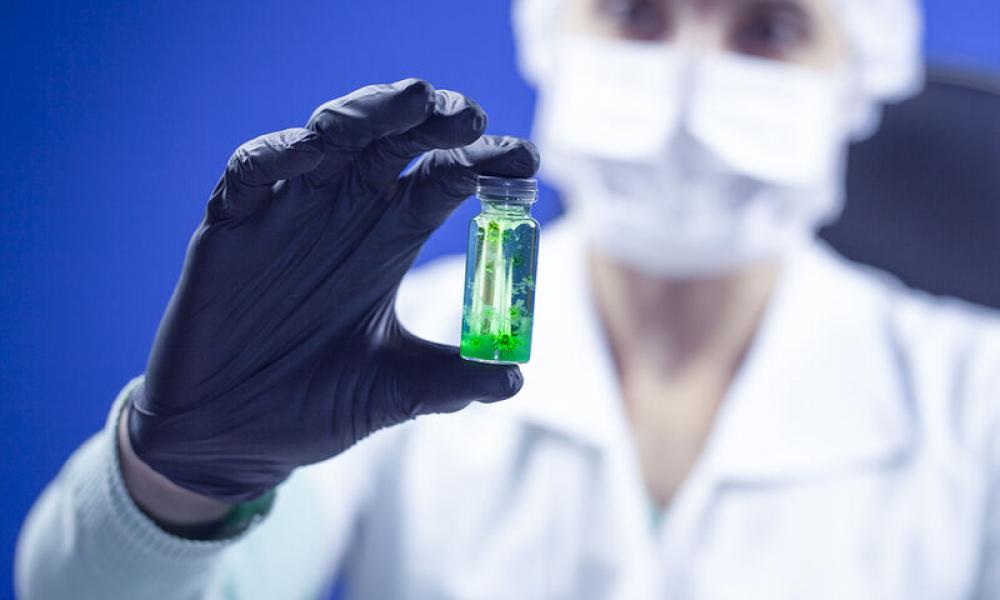 Ασφάλεια και Διεθνείς Συνεργασίες στον Τομέα της Υγείας