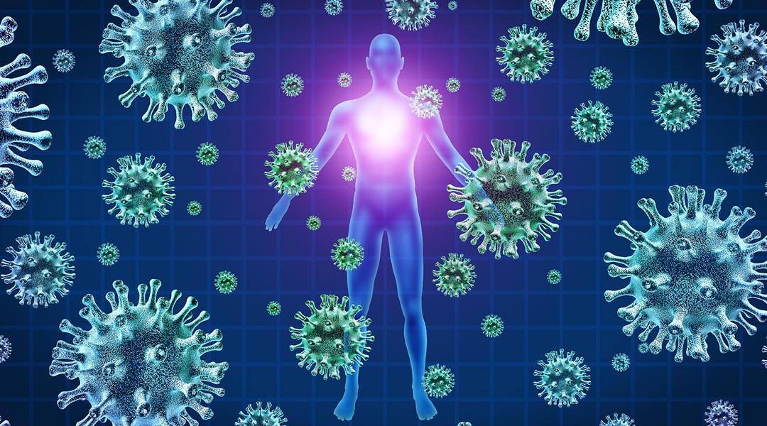 Πώς τα Αντισώματα Λειτουργούν Εναντίον του SARS-CoV-2.