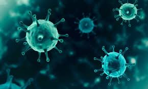 Αποφύγετε τα Καθολικά Lockdowns στο Μέλλον, Κάντε Πολλά Τεστ, Εστιάστε Εφεξής στις Ευπαθείς Ομάδες.