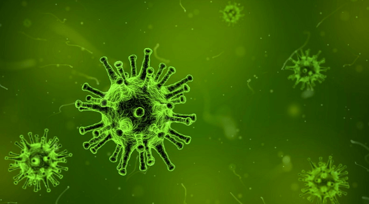 Γονιδιωματικοί Παράγοντες που Καθορίζουν της Παθογένεια του SARS-CoV-2 και Άλλων Ανθρώπινων Κορωνοϊών.