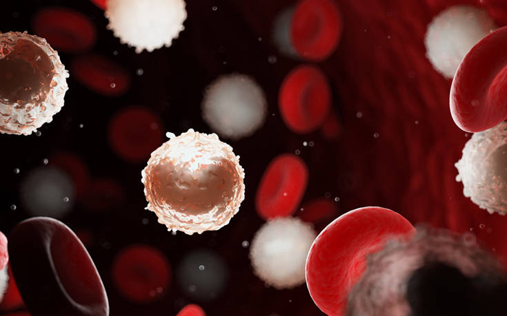 Τα Τ-λεμφοκύτταρα Θυμούνται Προηγούμενες Λοιμώξεις με Κορωνοϊούς και Αναγνωρίζουν τον SARS-CoV-2.