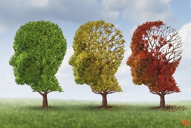 O Κίνδυνος Άνοιας Εμφανίζει Διαχρονικά Σταθερή Πτωτική Τάση.