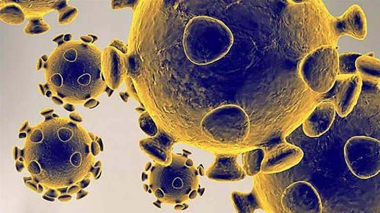 Το Μονοκλωνικό Αντίσωμα Tocilizumab Κατά της Αρθρίτιδας Μειώνει τον Κίνδυνο Θανάτου των Ασθενών με Σοβαρή COVID-19. Το Μονοκλωνικό Αντίσωμα Tocilizumab Κατά της Αρθρίτιδας Μειώνει τον Κίνδυνο Θανάτου των Ασθενών με Σοβαρή COVID-19.