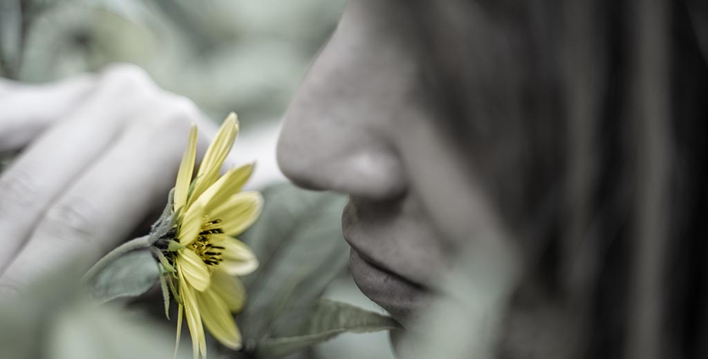 Η Απώλεια της Όσφρησης Μπορεί να Αποτελεί πιο Αξιόπιστο Σημάδι COVID-19 Ακόμη και από τον Βήχα. Η Απώλεια της Όσφρησης Μπορεί να Αποτελεί πιο Αξιόπιστο Σημάδι COVID-19 Ακόμη και από τον Βήχα.