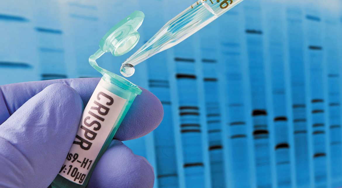 Κορωνοϊός – Νέο Τεστ Ανιχνεύει έως 100 Σωματίδια του Ιού σε Πέντε Λεπτά. Κορωνοϊός - Νέο Τεστ Ανιχνεύει έως 100 Σωματίδια του Ιού σε Πέντε Λεπτά.