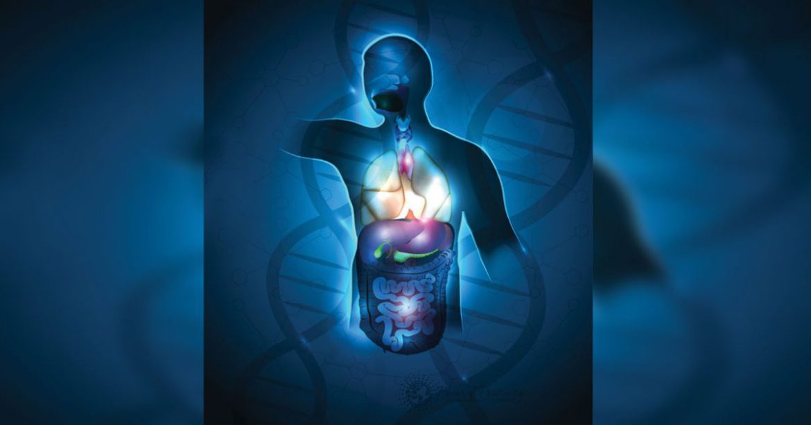 Η Πολύωρη Ανθεκτικότητα του Κορωνοϊού στο Ανθρώπινο Δέρμα. Η Πολύωρη Ανθεκτικότητα του Κορωνοϊού στο Ανθρώπινο Δέρμα.