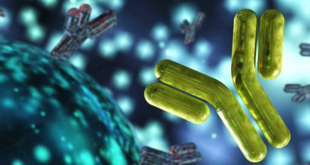 Οι Γενετικές Αλλαγές στον Ιό SARS-CoV-2 και η Σημασία τους. Οι Γενετικές Αλλαγές στον Ιό SARS-CoV-2 και η Σημασία τους.