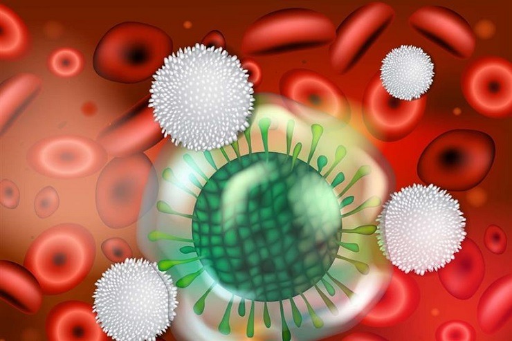 Προϋπάρχοντα Αντι-SARS-CoV-2 Αντισώματα στα μη Μολυσμένα Άτομα. Προϋπάρχοντα Αντι-SARS-CoV-2 Αντισώματα στα μη Μολυσμένα Άτομα.
