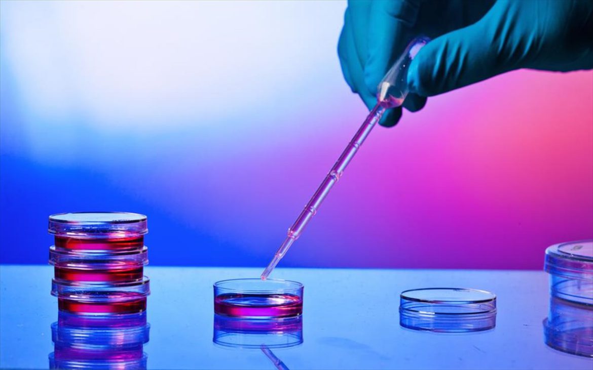 Νέα Πιθανή Θεραπεία Κατά της Covid-19 με Βλαστικά Κύτταρα. Νέα Πιθανή Θεραπεία Κατά της Covid-19 με Βλαστικά Κύτταρα.
