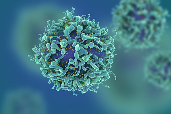 Τα Τ-λεμφοκύτταρα δεν αποτρέπουν τη μόλυνση από τον ιό, επειδή ενεργοποιούνται μόνο αφού ένας ιός διεισδύσει στο σώμα.