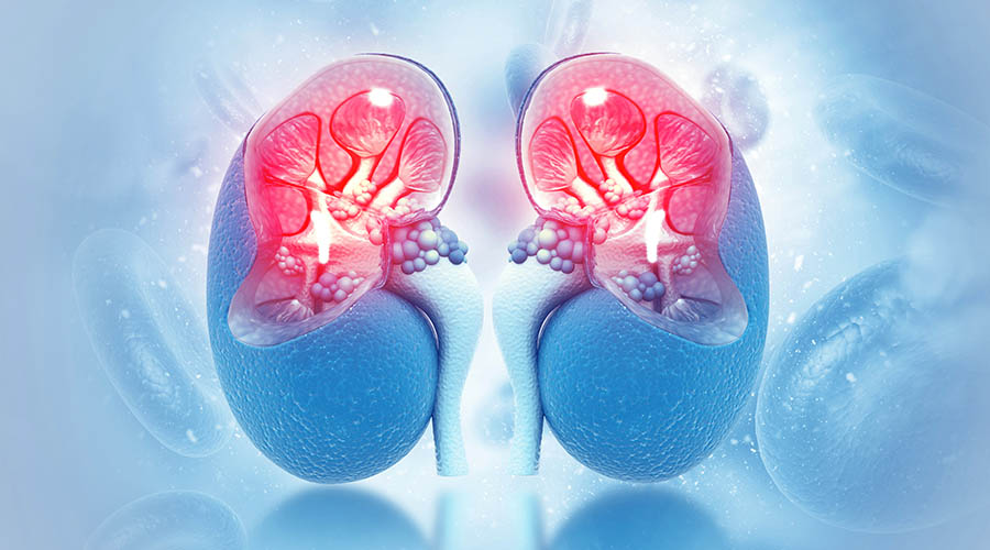 Μεταμόσχευση Νεφρού και Αιμοκάθαρση - Η Χυμική Ανοσία Έναντι του SARS-CoV-2 Μετά τον Εμβολιασμό.