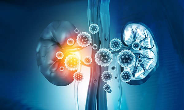 Οι Εμβολιασμένοι που Έχουν Κάνει Μεταμόσχευση Νεφρού Είναι Ιδιαίτερα Ευάλωτοι στις Νέες Παραλλαγές του Κορωνοϊού.