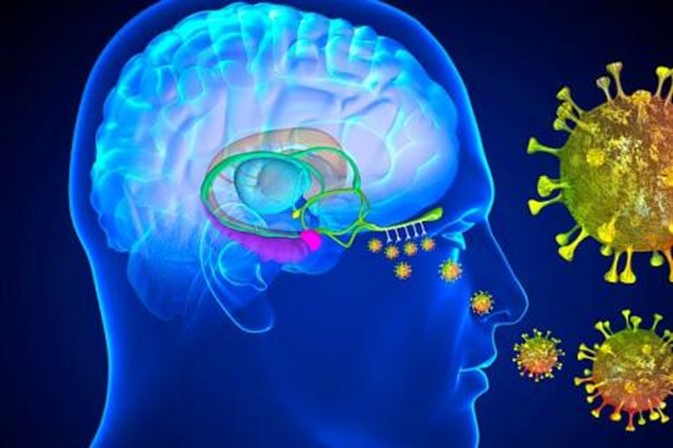 Επιβεβαιώνονται οι Επιπτώσεις της Covid-19 στον Εγκέφαλο.