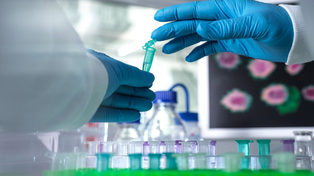 Μοριακή Επιβεβαίωση του Στελέχους της Ευλογιάς των Πιθήκων για το Πρώτο Κρούσμα στην Ελλάδα.