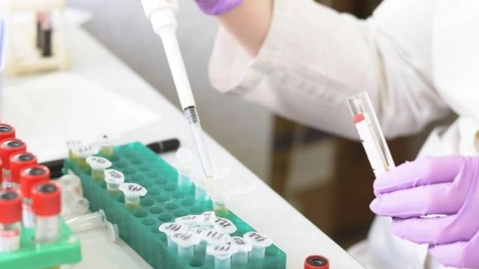 Συνολικά 7 τα Περιστατικά της Ευλογιάς των Πιθήκων στην Ελλάδα.