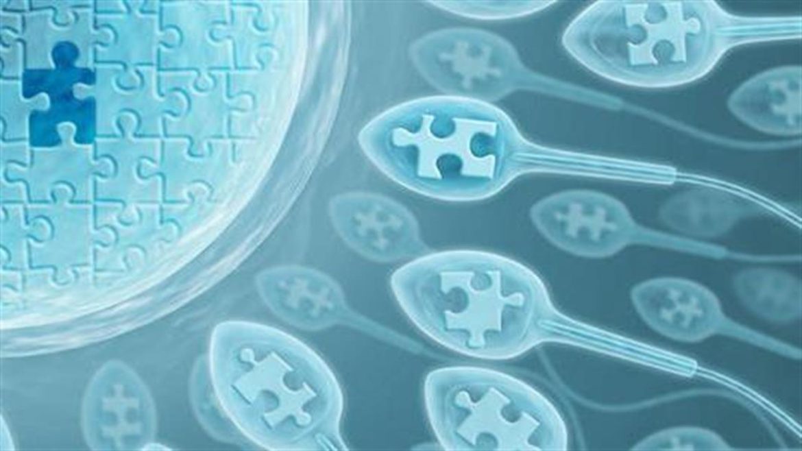 Κορωνοϊός - Ο Εμβολιασμός με Αδρανοποιημένα Εμβόλια δεν Επηρεάζει την Ποιότητα του Σπέρματος.