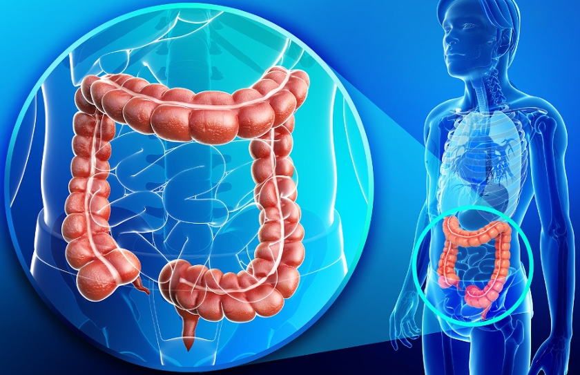 Νέα Μελέτη για τη Συμβολή της Κολονοσκόπησης στην Πρόληψη του Θανατηφόρου Καρκίνο του Παχέος Εντέρου.