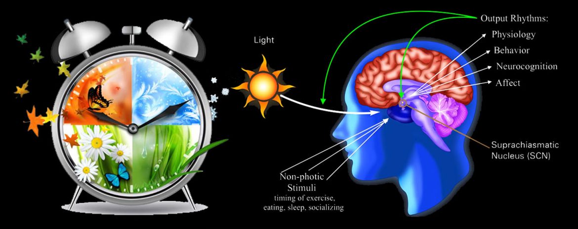 Έρευνα βιολογικών ρυθμών, συνεπάγεται κατανόηση του τρόπου αποσυγχρονισμού των κιρκάδιων κύκλων που προκαλεί ασθένειες, αλλά και εύρεση κατάλληλων θεραπειών