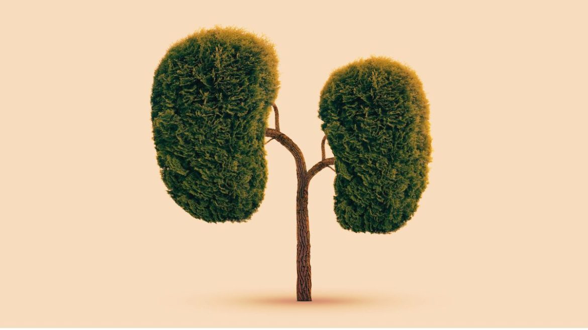 Pharma Article Covers – 2025-06-24T111423.719 ΠΡΟΛΑΜΒΑΝΩ