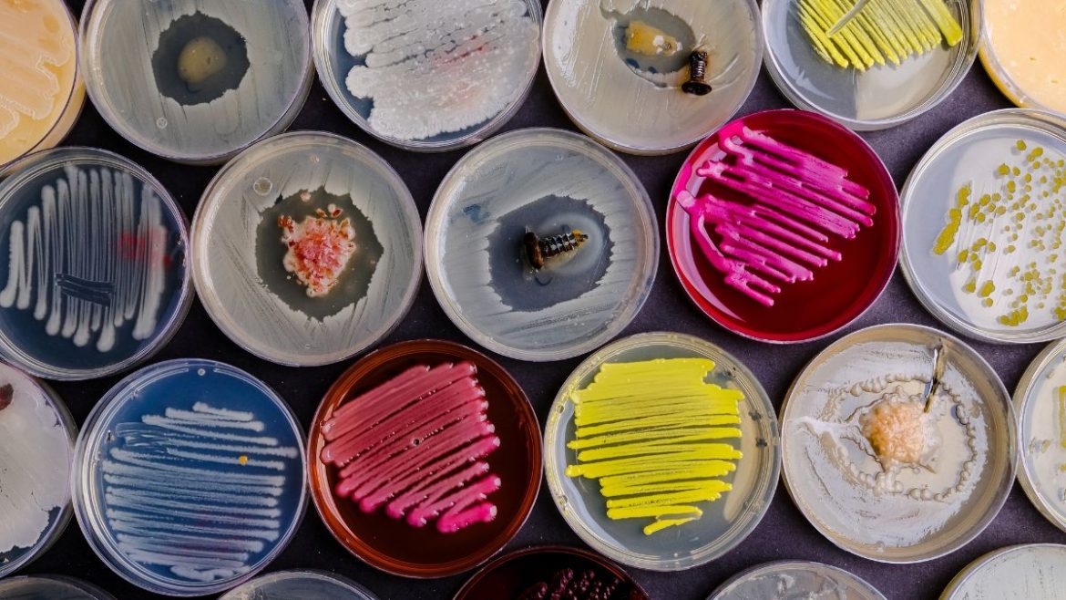 Pharma Article Covers – 2025-10-29T163252.334 Αντιβιοτικά Βακτηριακή αντίσταση