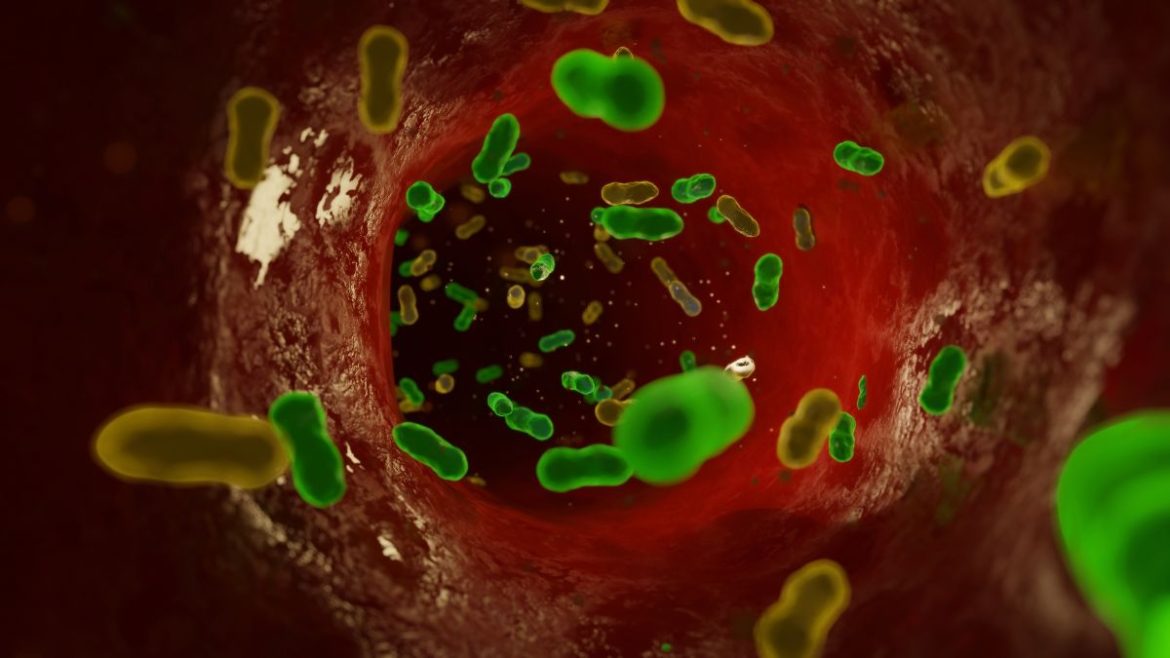 Τεστ για ανθεκτικά νοσοκομειακά βακτήρια